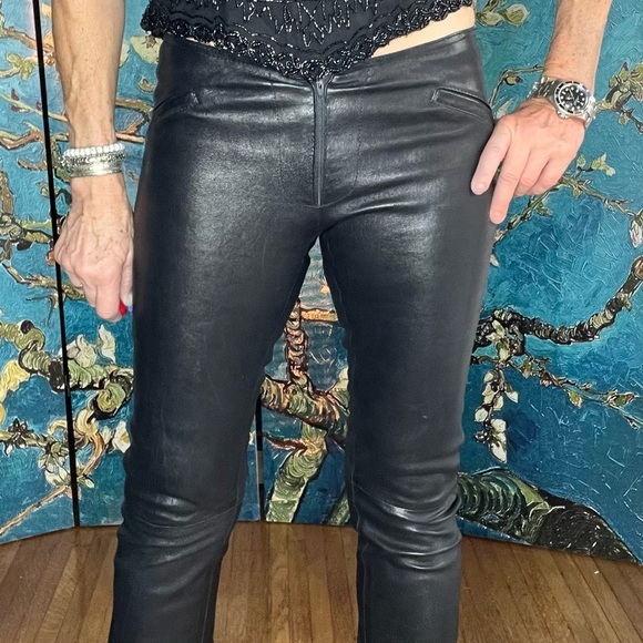 Sz 28 leather DDC Lab with Lycra pants. - Picture 13 of 14